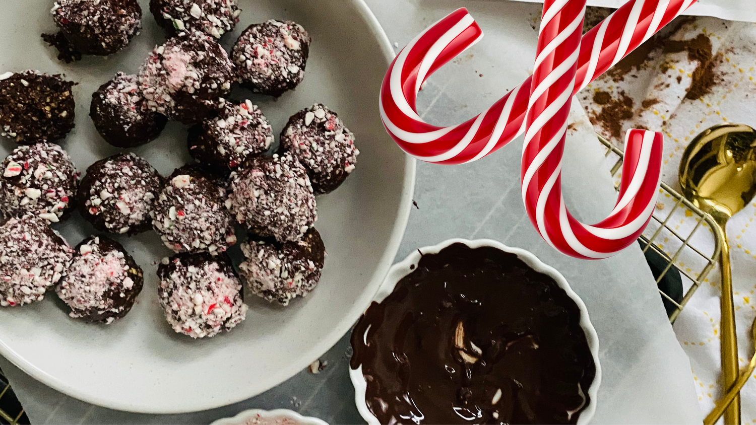 Mushroom Powered Mint Chocolate Chip Energy Bites