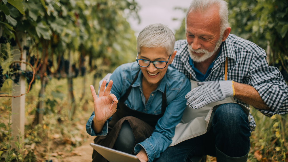 Understanding Brain Health: How Functional Mushrooms Can Help