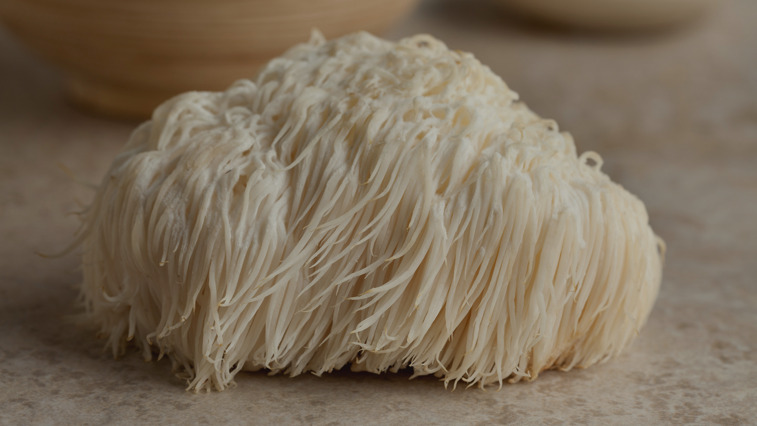 Lion's Mane Mushroom and Alzheimer's Disease