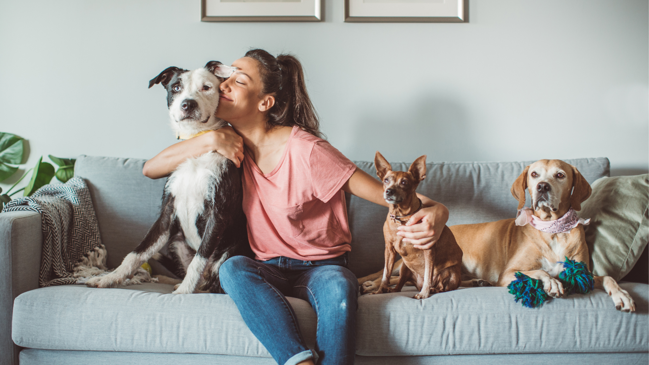 National Pet Day – Mushrooms for Pets