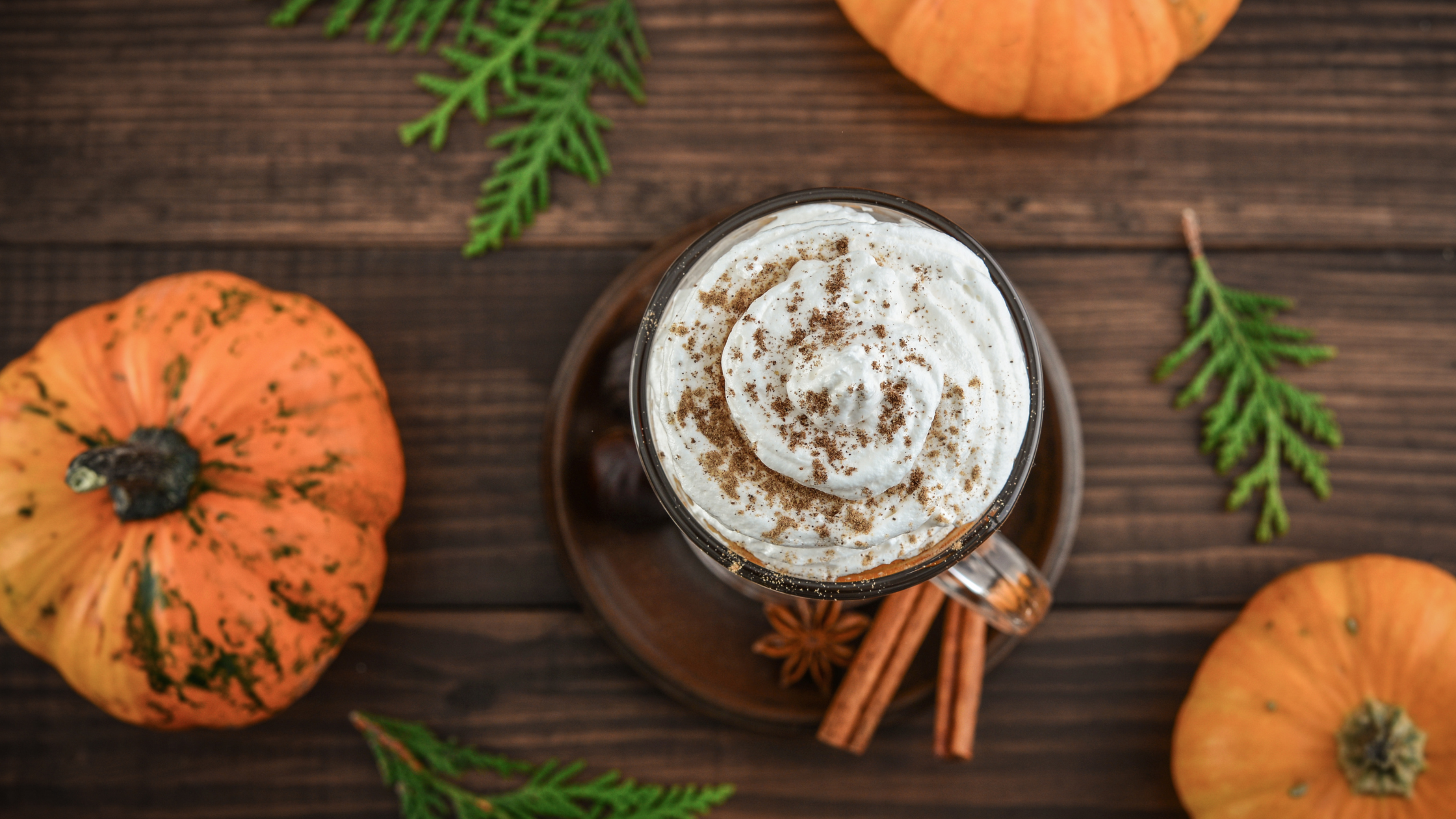 pumpkin spice balance blend