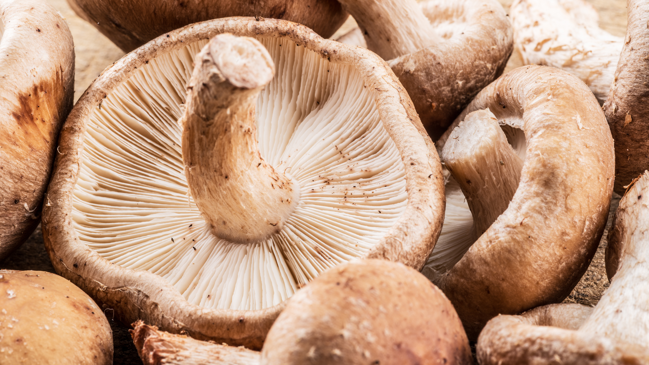 health benefits of shiitake mushrooms