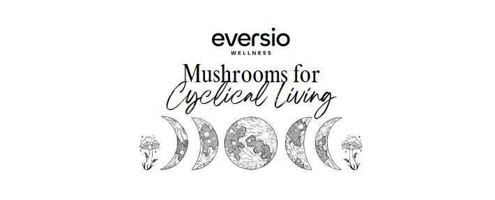 mushrooms for cyclical living