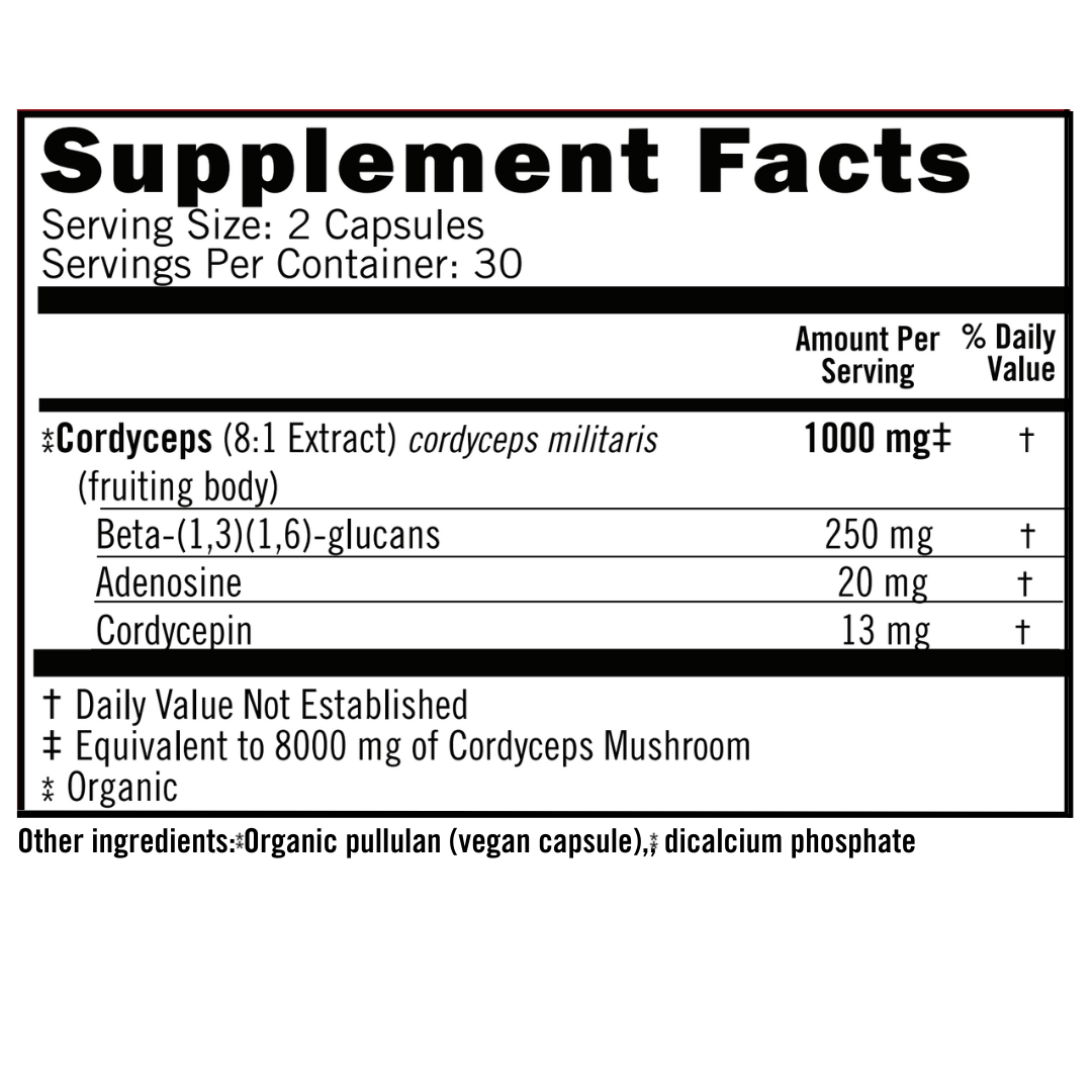 Energize Now - Organic Cordyceps 8:1 Extract Capsules